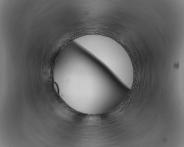 X0000093250619200709261558