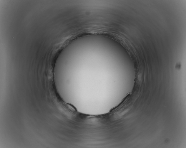X0000093250620200709261558