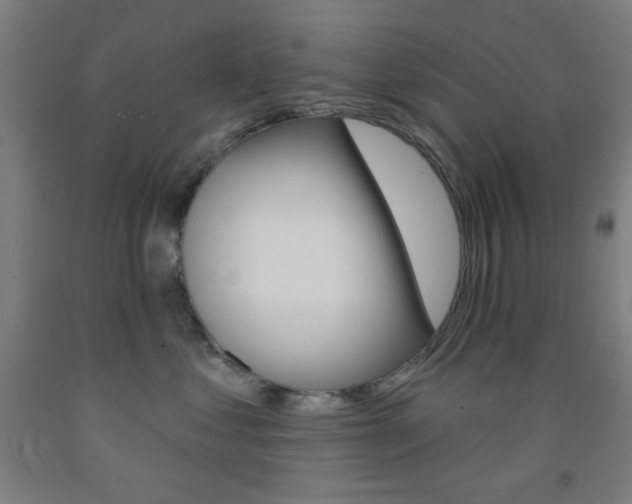 X0000093250621200709261558