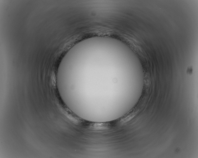 X0000093250622200709261558