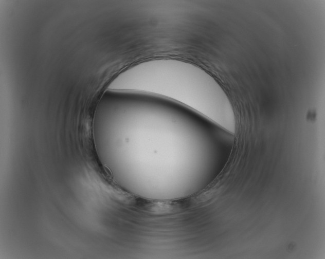 X0000093250623200709261558