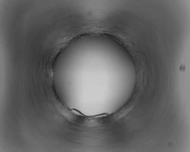 X0000093250624200709261558