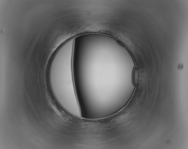 X0000093250626200709261557