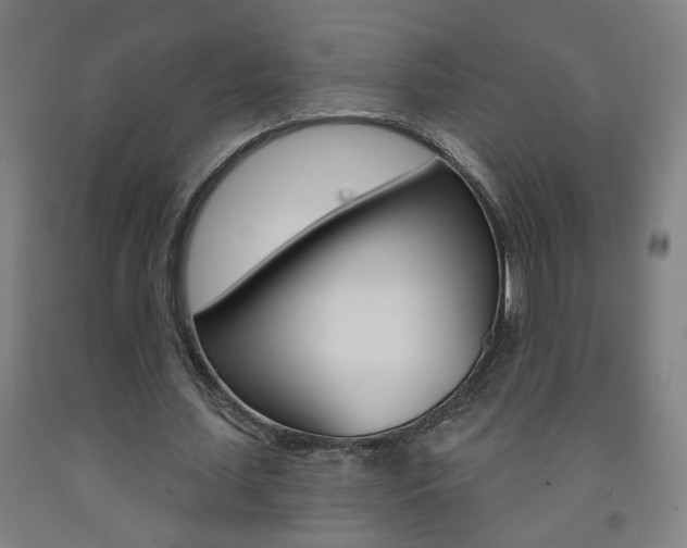X0000093250627200709261557