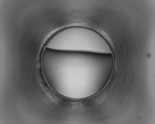 X0000093250628200709261557