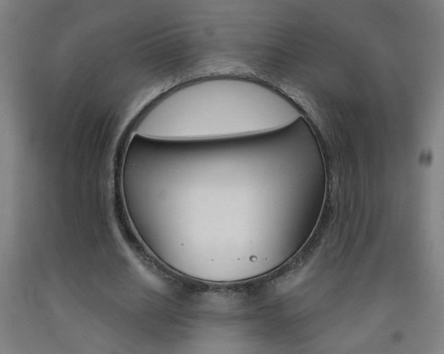 X0000093250630200709261557