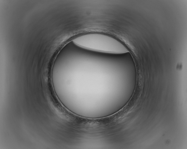 X0000093250631200709261557