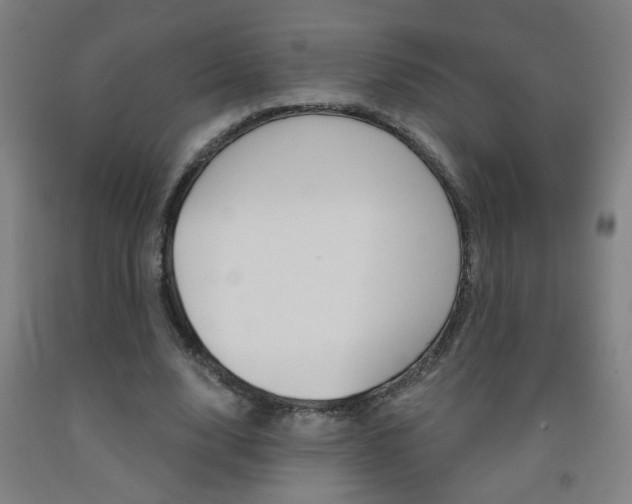 X0000093250632200709261557