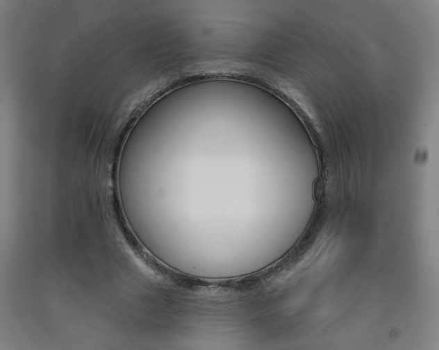 X0000093250633200709261557
