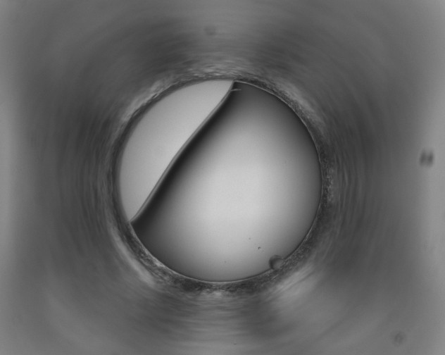 X0000093250634200709261557
