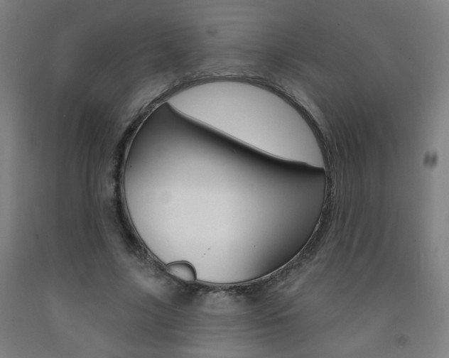 X0000093250635200709261557