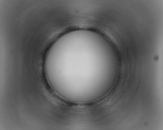 X0000093250639200709261557