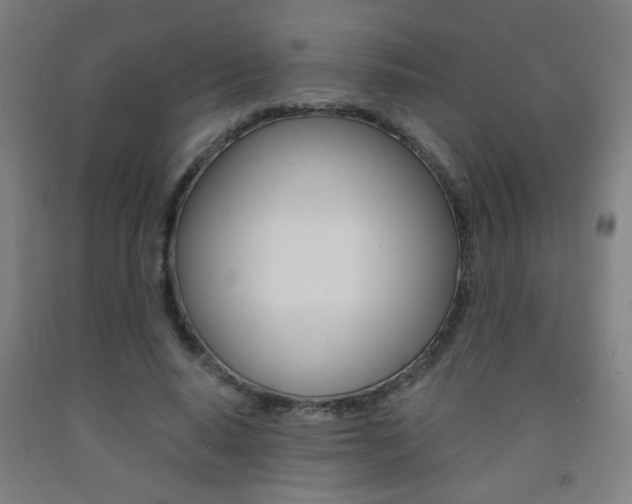 X0000093250640200709261557