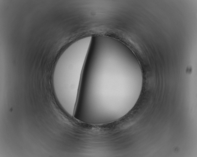 X0000093250641200709261557