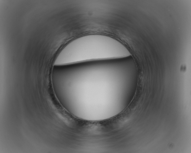 X0000093250642200709261557