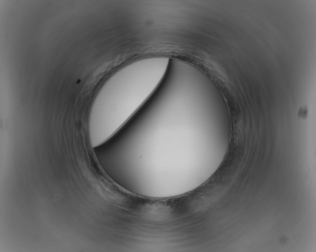X0000093250644200709261557
