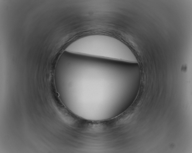 X0000093250645200709261557