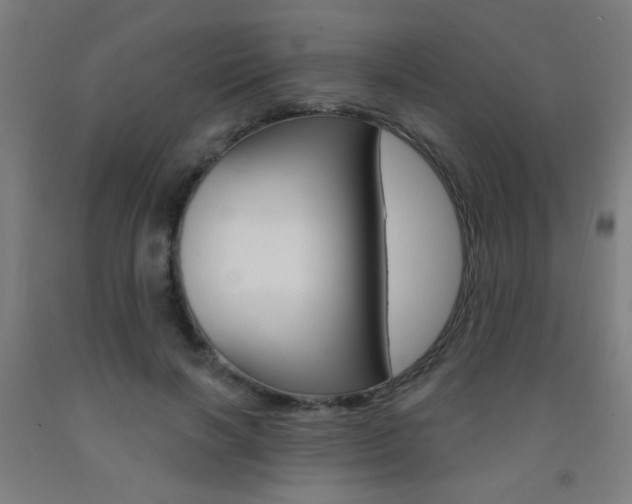 X0000093250646200709261557