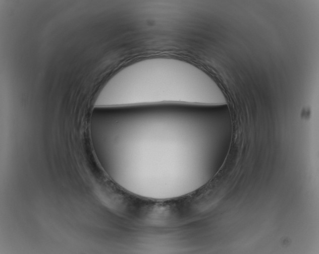 X0000093250647200709261557
