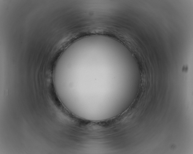 X0000093250648200709261557