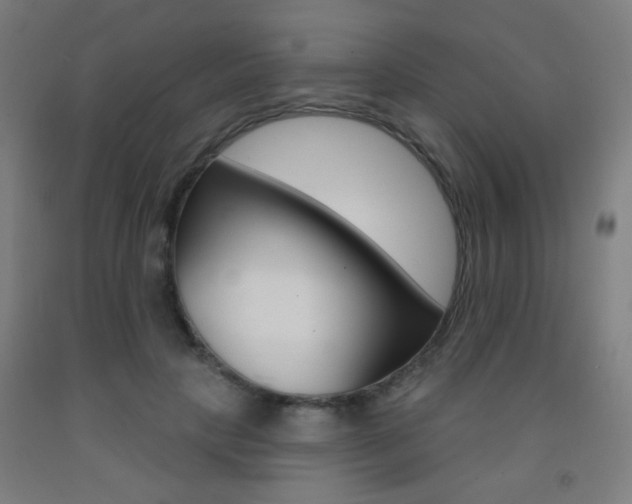 X0000093250649200709261557