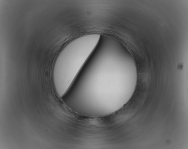 X0000093250652200709261557