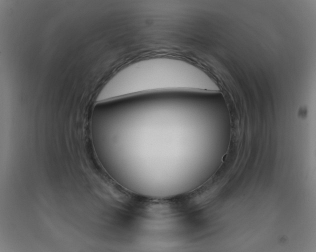 X0000093250653200709261557