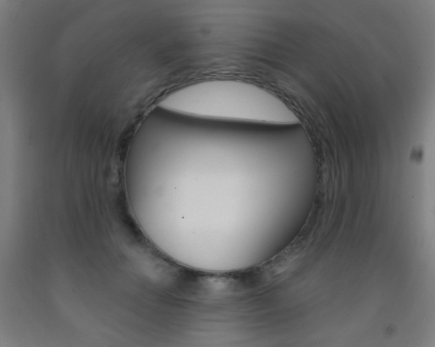 X0000093250654200709261557