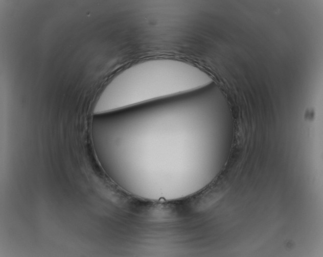 X0000093250656200709261557