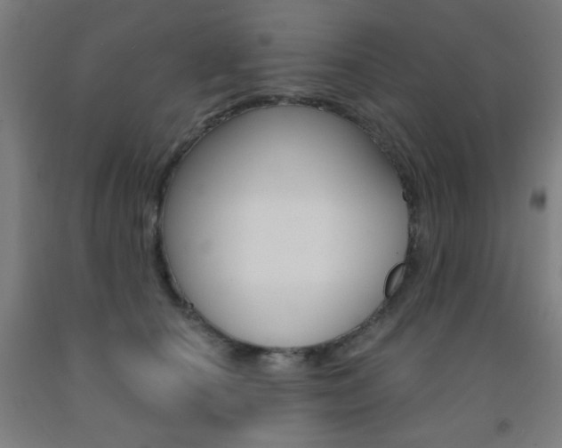 X0000093250660200709261558