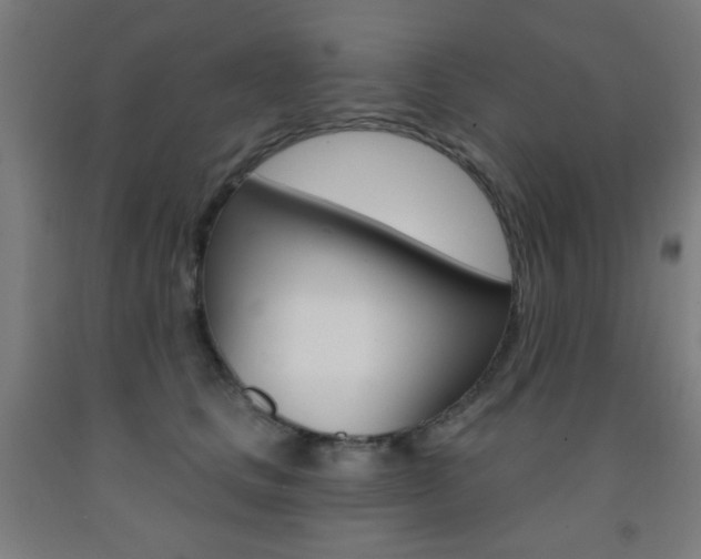 X0000093250661200709261558