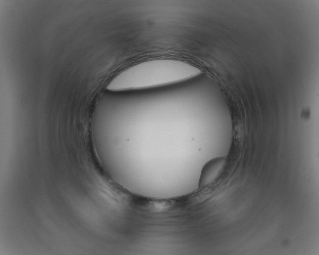 X0000093250662200709261558