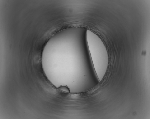 X0000093250665200709261558
