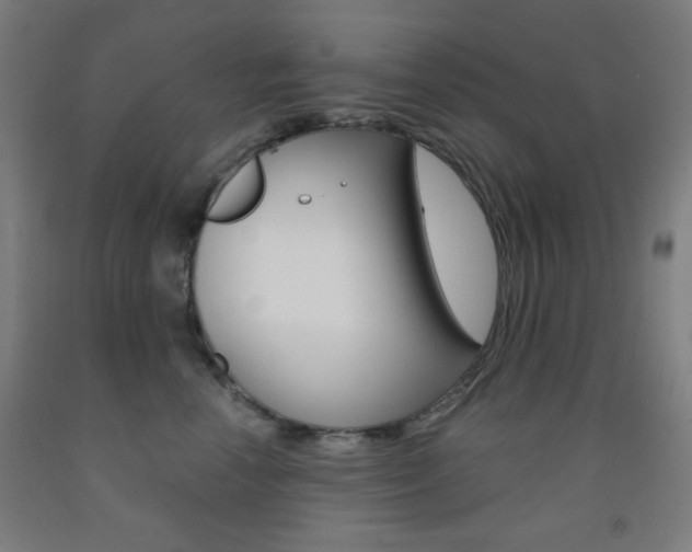 X0000093250666200709261558