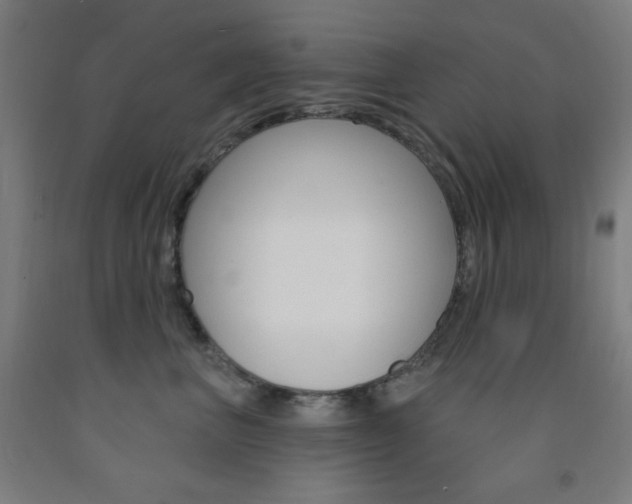 X0000093250667200709261558