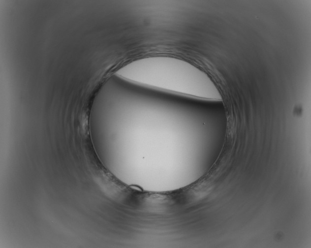 X0000093250669200709261558