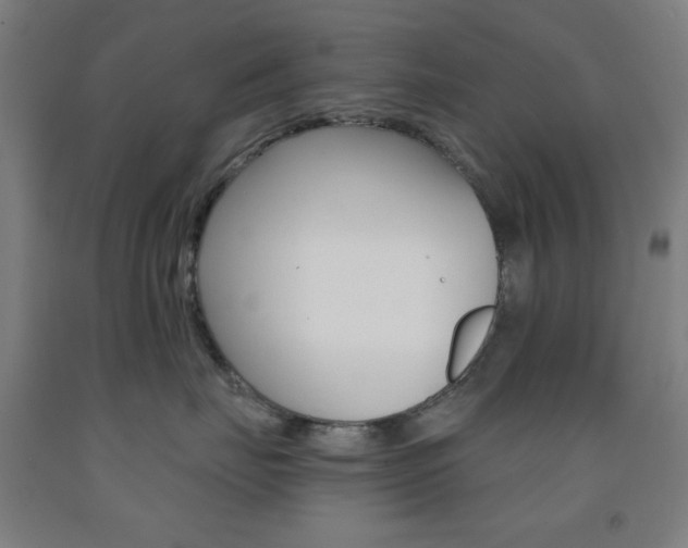 X0000093250671200709261558
