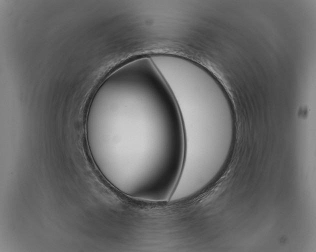 X0000093250673200709261557