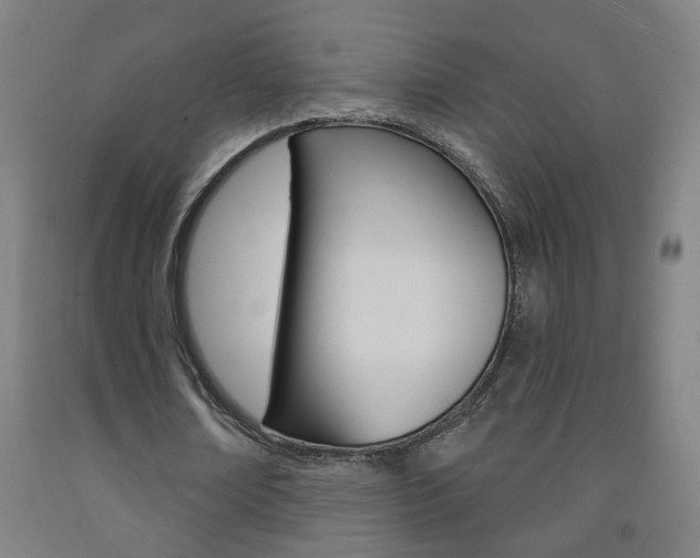 X0000093250674200709261557