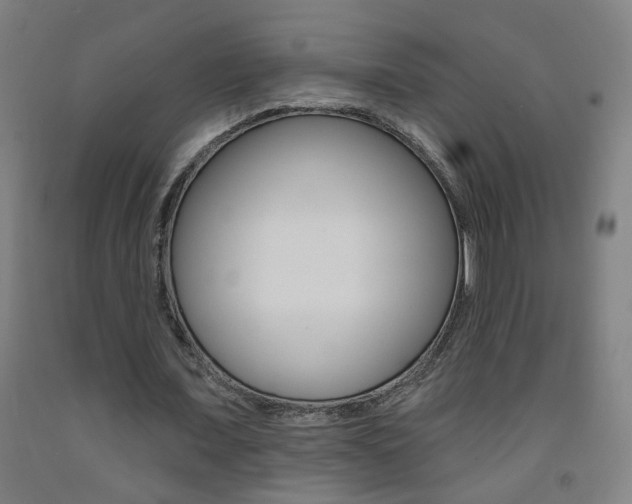 X0000093250675200709261557