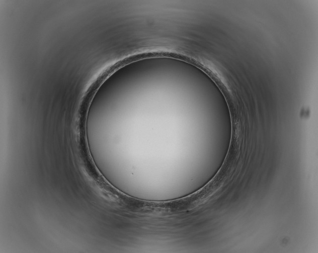 X0000093250676200709261557