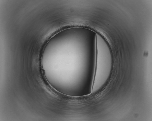 X0000093250677200709261557