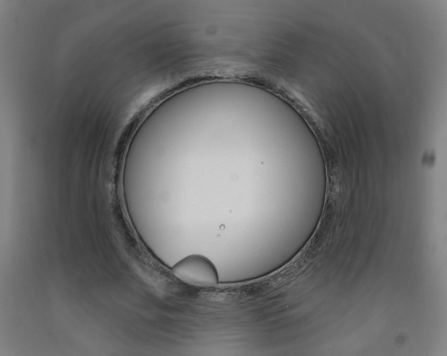 X0000093250679200709261557