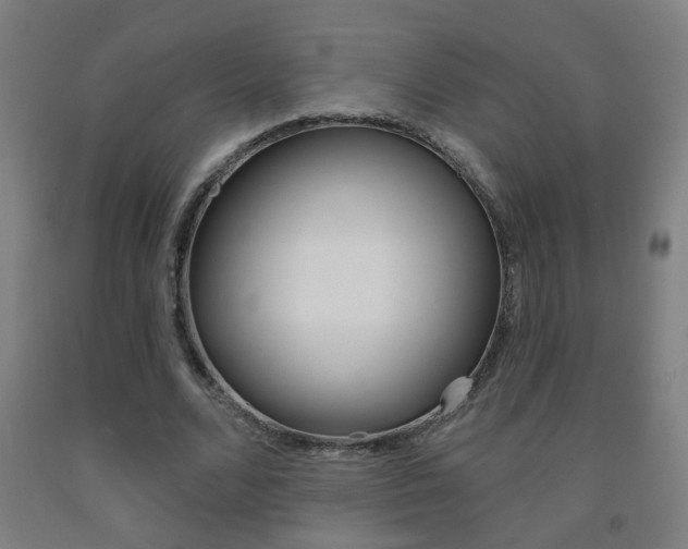 X0000093250680200709261557