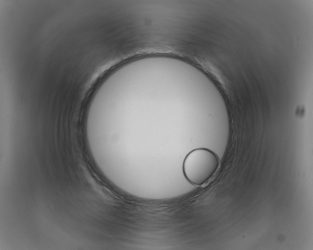 X0000093250684200709261557