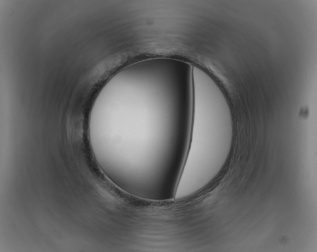 X0000093250685200709261557