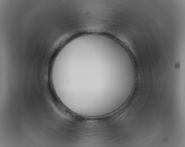X0000093250686200709261557