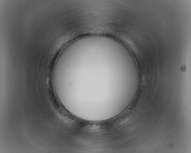 X0000093250687200709261557