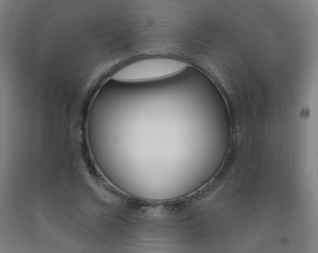 X0000093250688200709261557