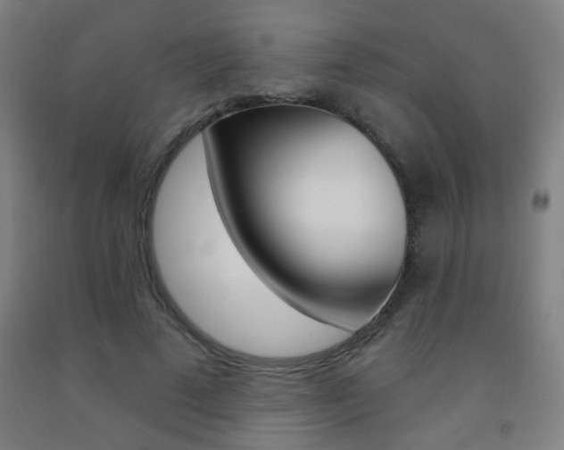 X0000093250689200709261557